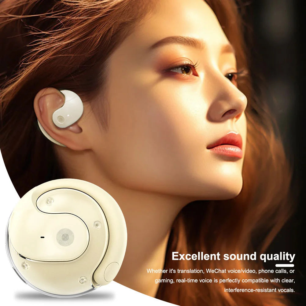 Wireless BT Translation Earbuds Real-time Translation Language Translation Device Voice Translator Earbuds for Travel Business